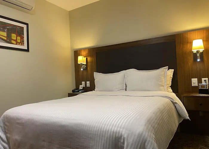 Wyndham Garden - Polanco 墨西哥城