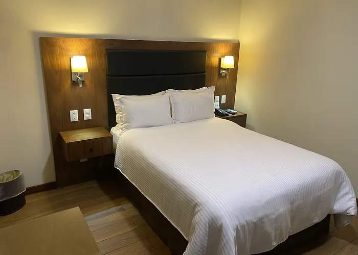 酒店 Wyndham Garden - Polanco 墨西哥城