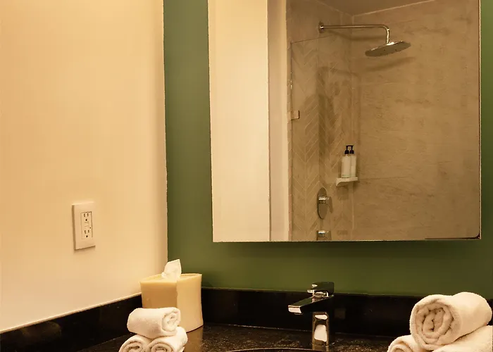 Wyndham Garden - Polanco 4* メキシコシティ